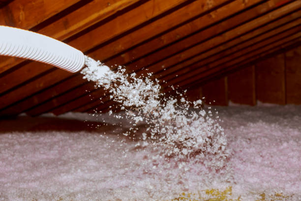 Best Batt and Roll Insulation  in Trinity, TX