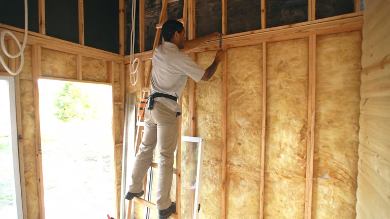 Professional Insulation in Trinity, TX