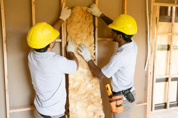 Best Insulation for New Construction  in Trinity, TX