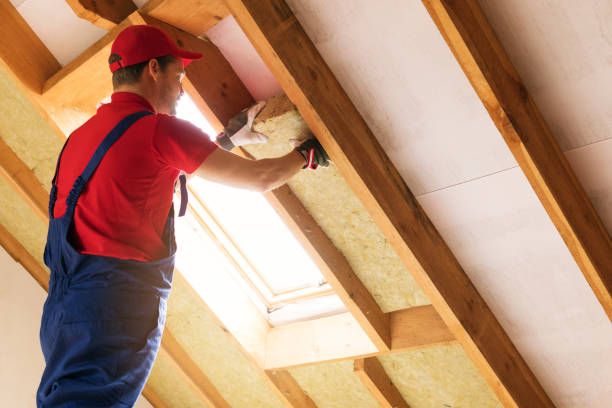 Best Commercial Insulation Services  in Trinity, TX